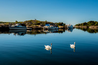 Søndre Griseholmen