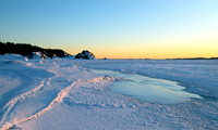 Barkevika
