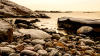 Moutmarka