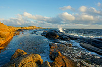 Moutmarka