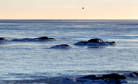 Verdens Ende