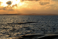 Moutmarka